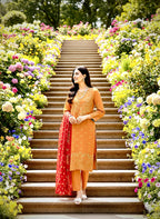 DHANAK EMBROIDERY COLLECTION